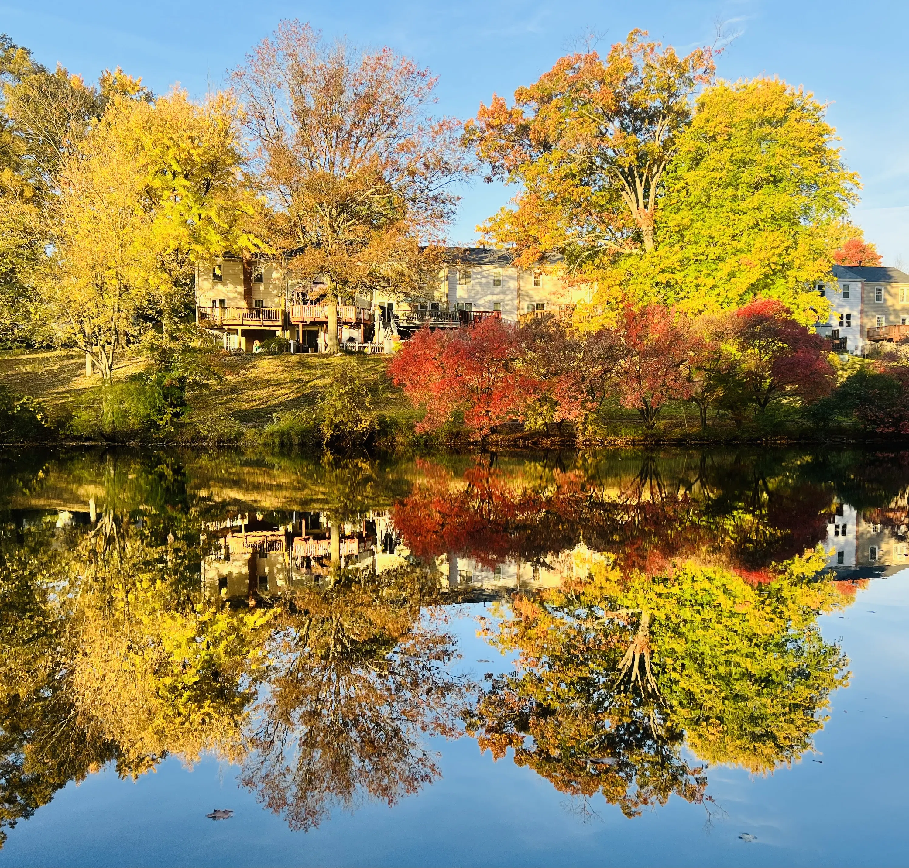 Autumn trees reflected across calm water
