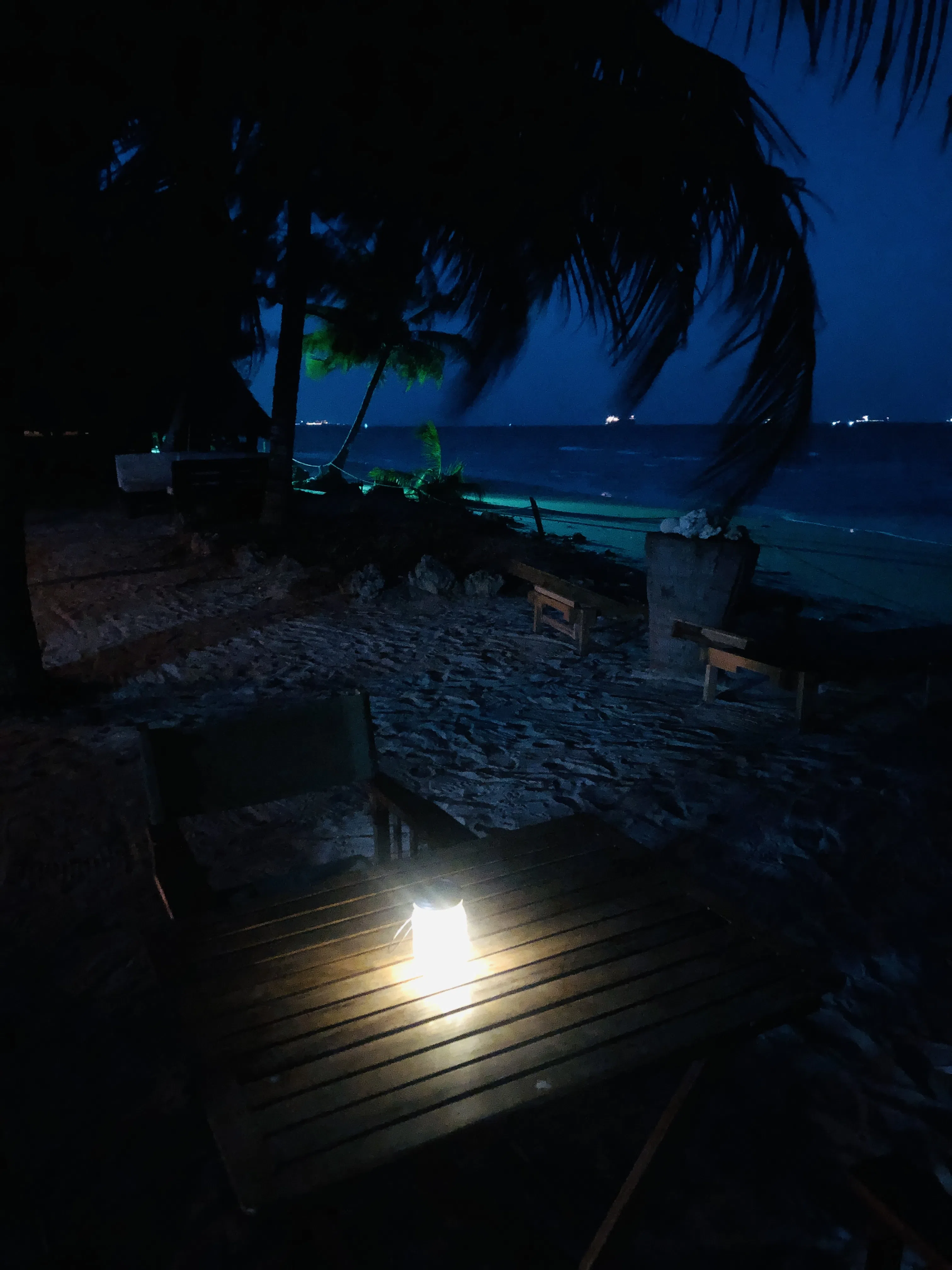 A dimly lit tropical beachfront scene at night