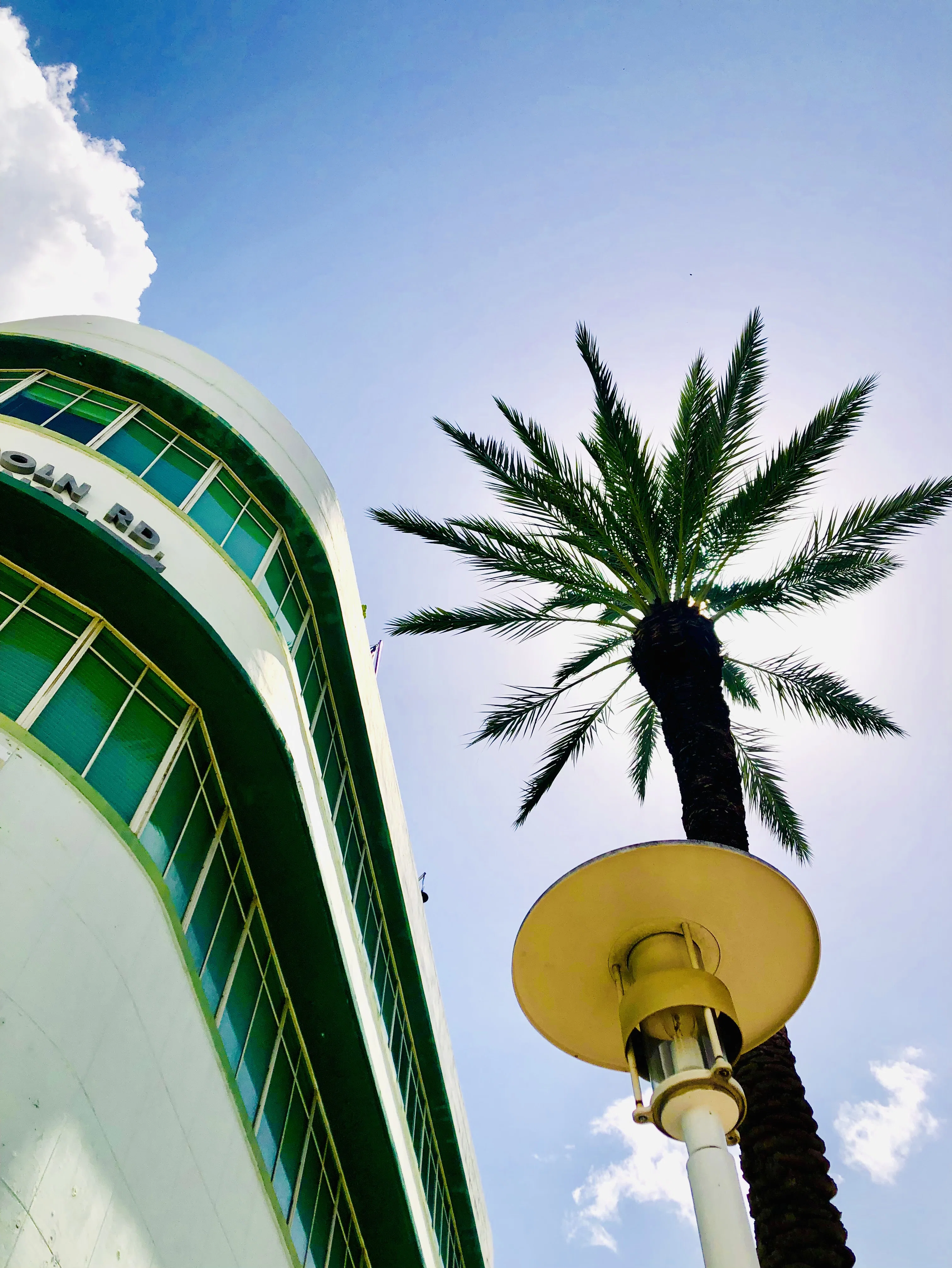 Palm Over Deco photograph