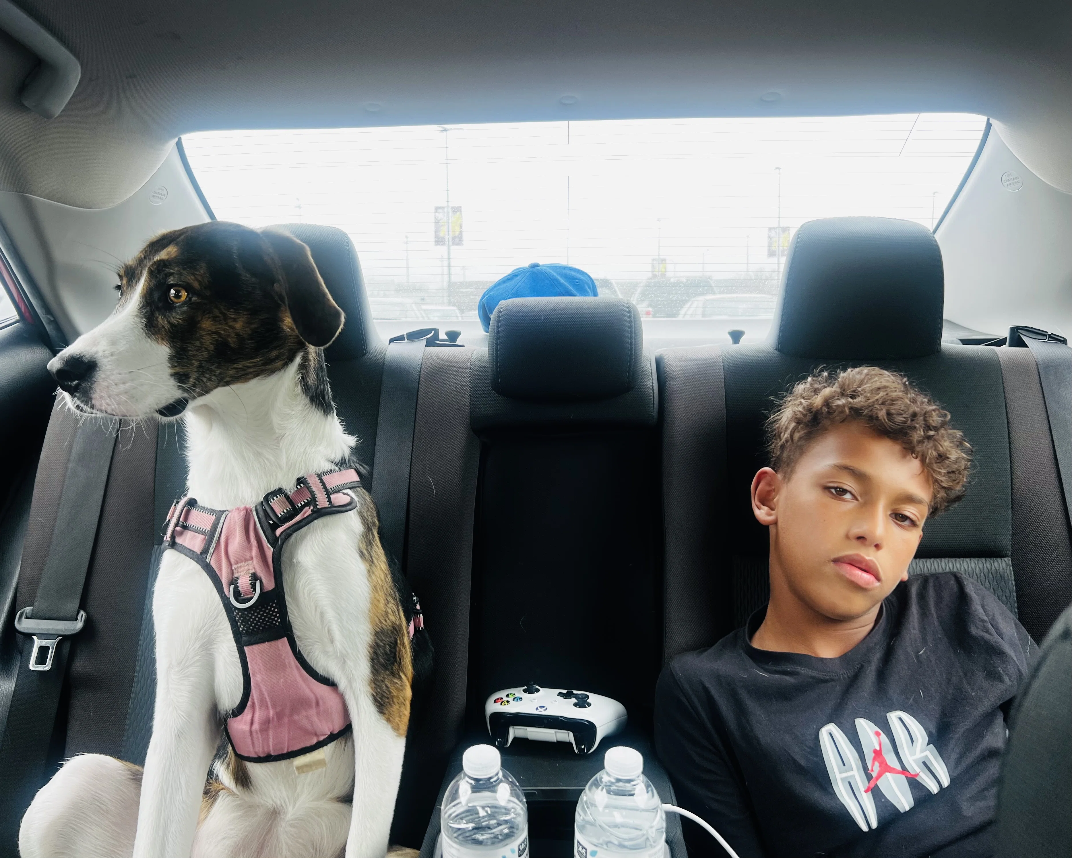 Road Trip With My Road Dog photograph