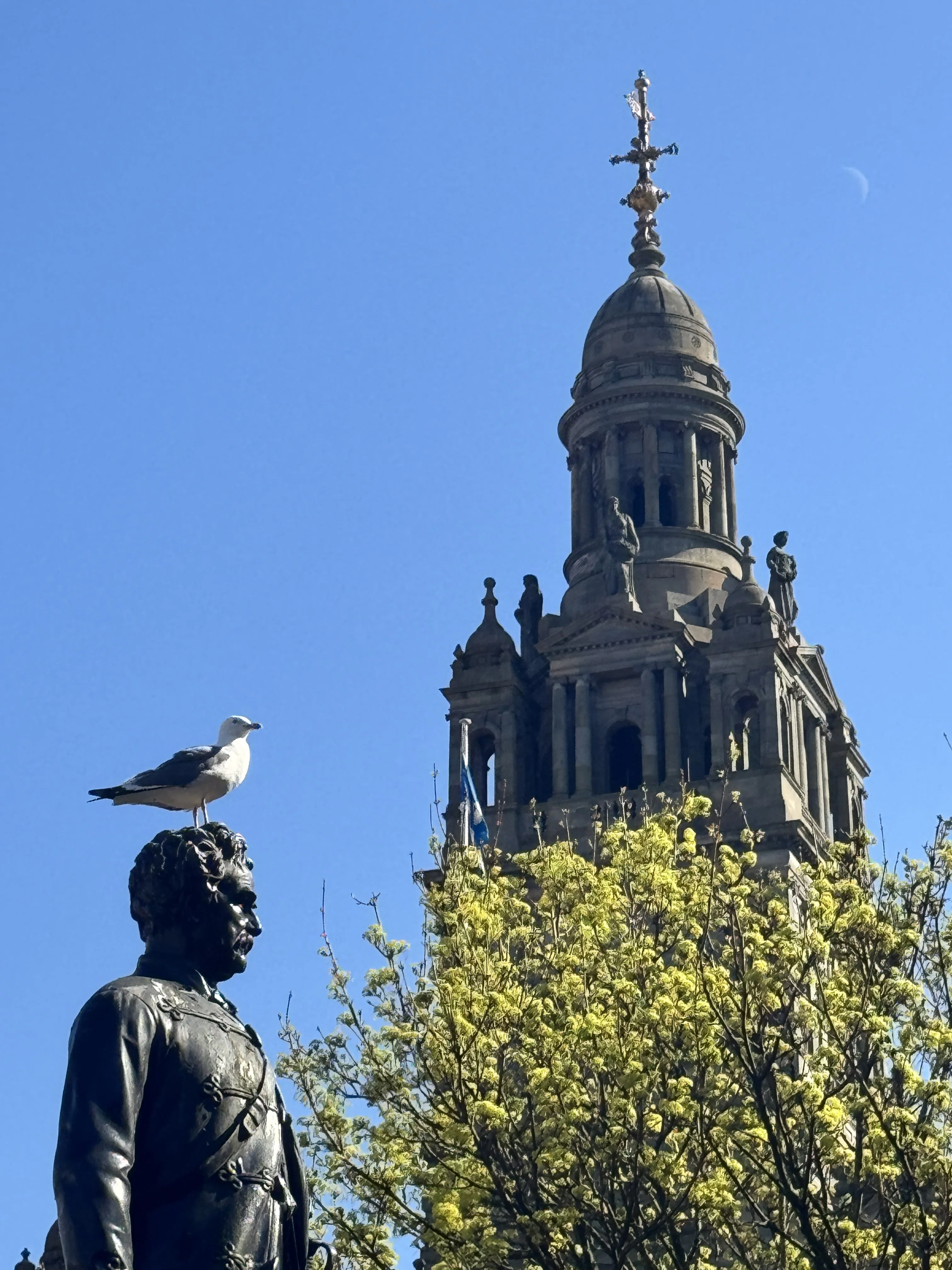 The Bird Above The Badge photograph