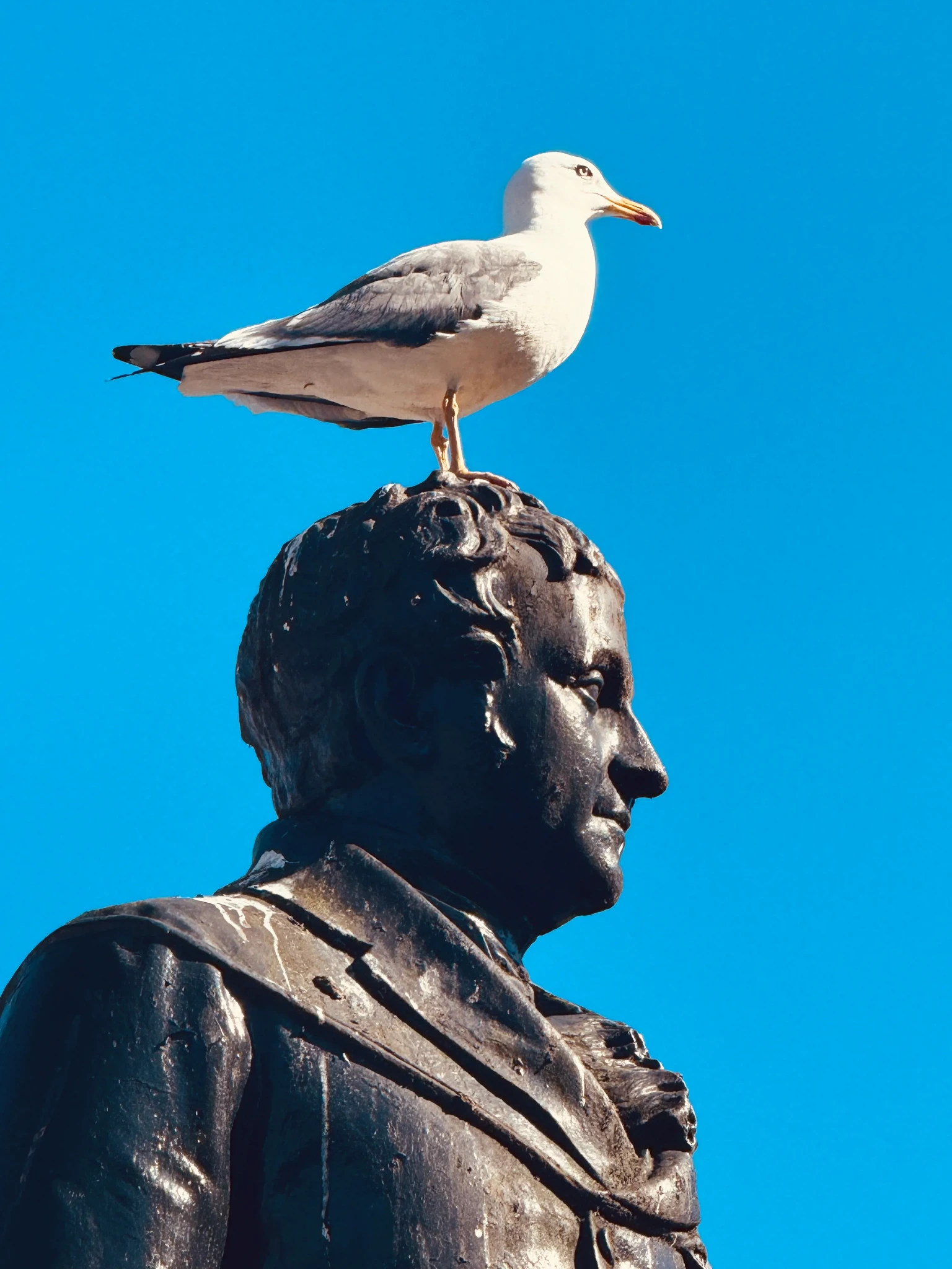 A bird perched on a statue